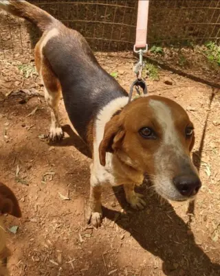 Iver: Not At the Shelter (Wendy)