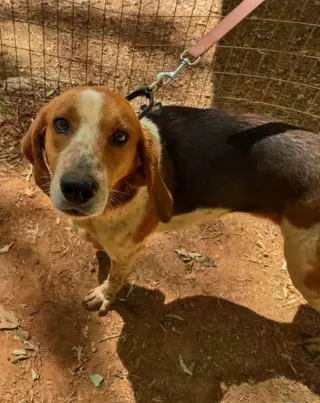 Iver: Not At the Shelter (Wendy)
