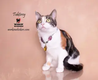 TUKTIREY