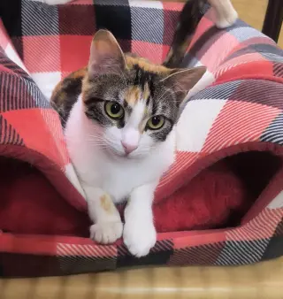 TUKTIREY