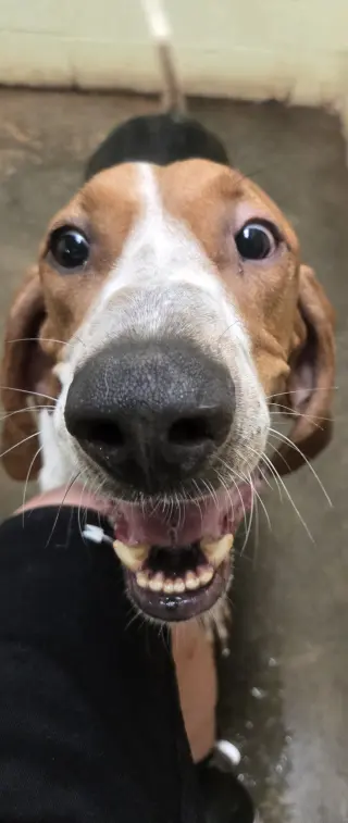 Jethro