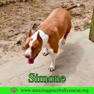 Simone