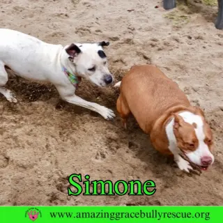 Simone