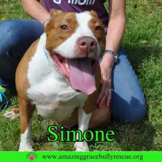 Simone