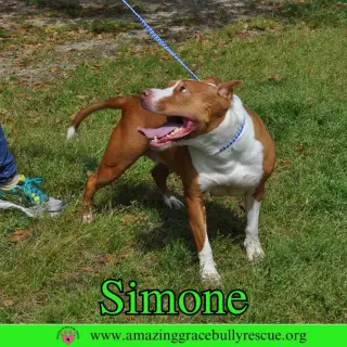 Simone