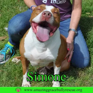 Simone
