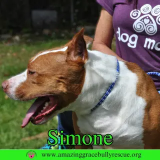 Simone