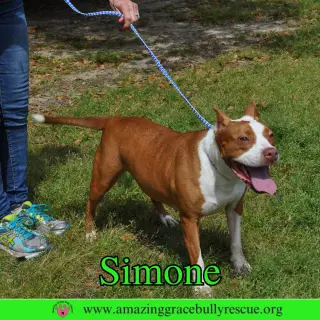 Simone