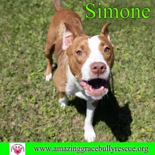 Simone