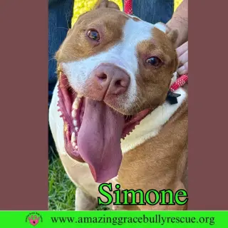 Simone