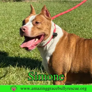 Simone