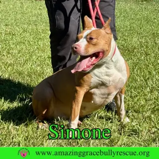 Simone