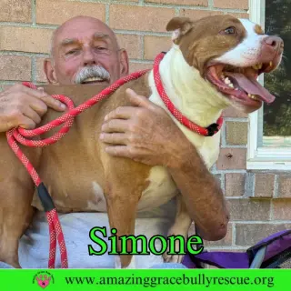 Simone
