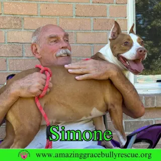 Simone