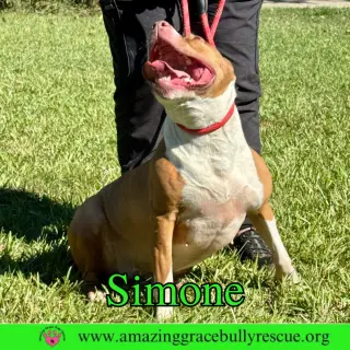 Simone