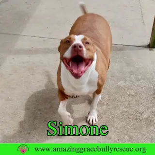 Simone