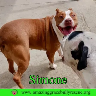 Simone