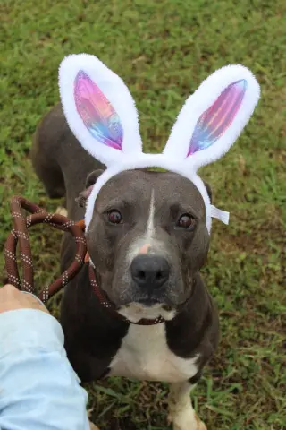 Dorothy