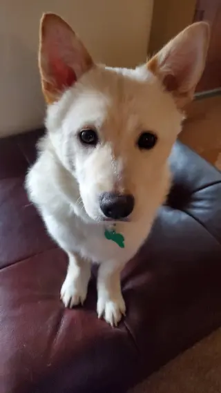 Aiden