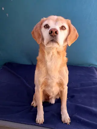 Sammy-his BFF is roomy