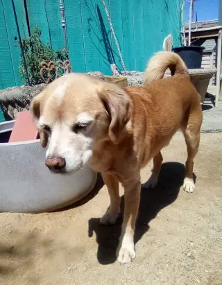 Sammy-his BFF is roomy