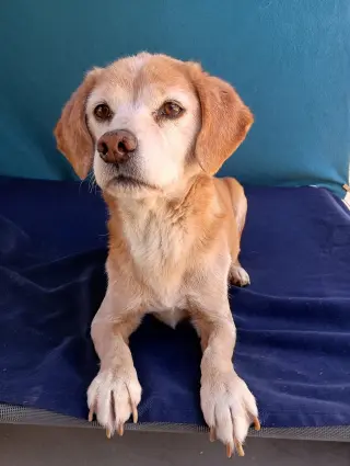 Sammy-his BFF is roomy