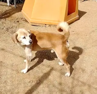 Sammy-his BFF is roomy