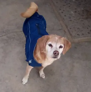 Sammy-his BFF is roomy