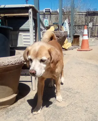 Sammy-his BFF is roomy