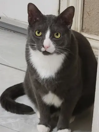 Ash.