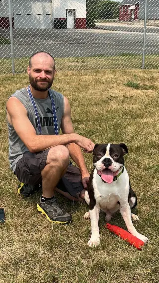 Drago - FOSTER OR ADOPT ME!!