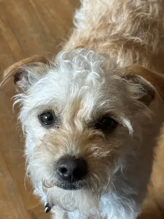 Ricky