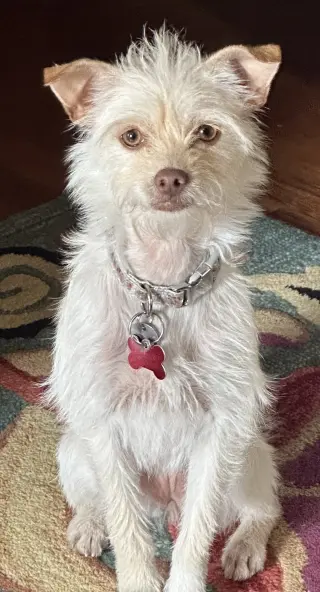 Ricky