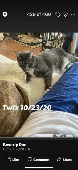 Twix