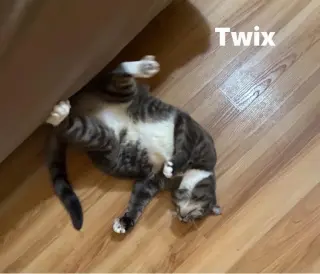 Twix