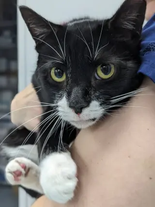 Fiona