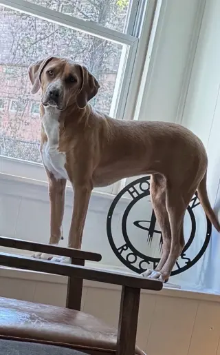Stormy