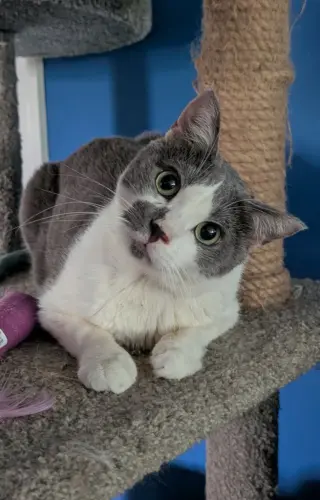Benny
