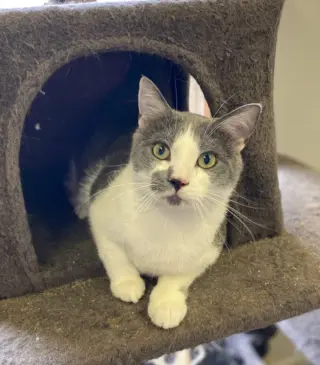 Benny