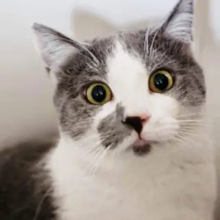 Benny
