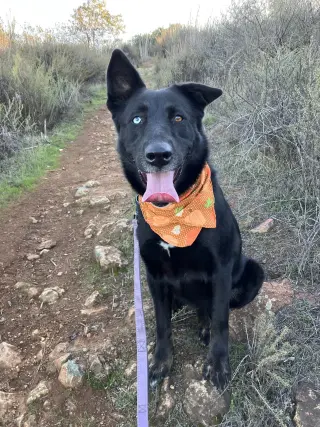 Kira