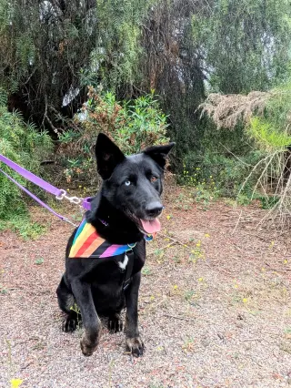 Kira