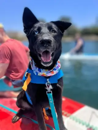 Kira