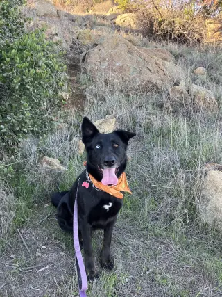 Kira