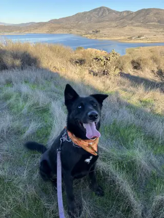 Kira