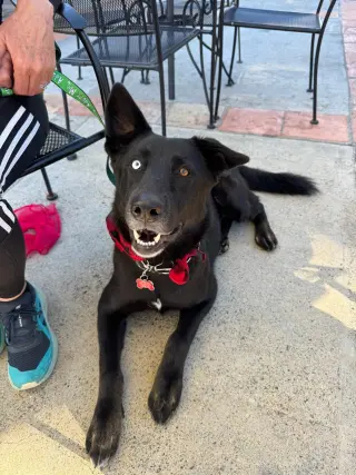 Kira