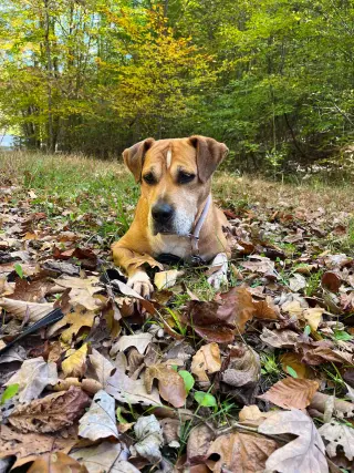 Spike