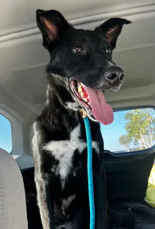 Mica