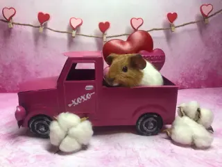Tot & Tater