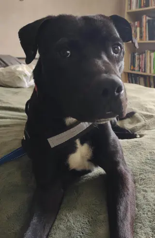 Midnight Lagoon